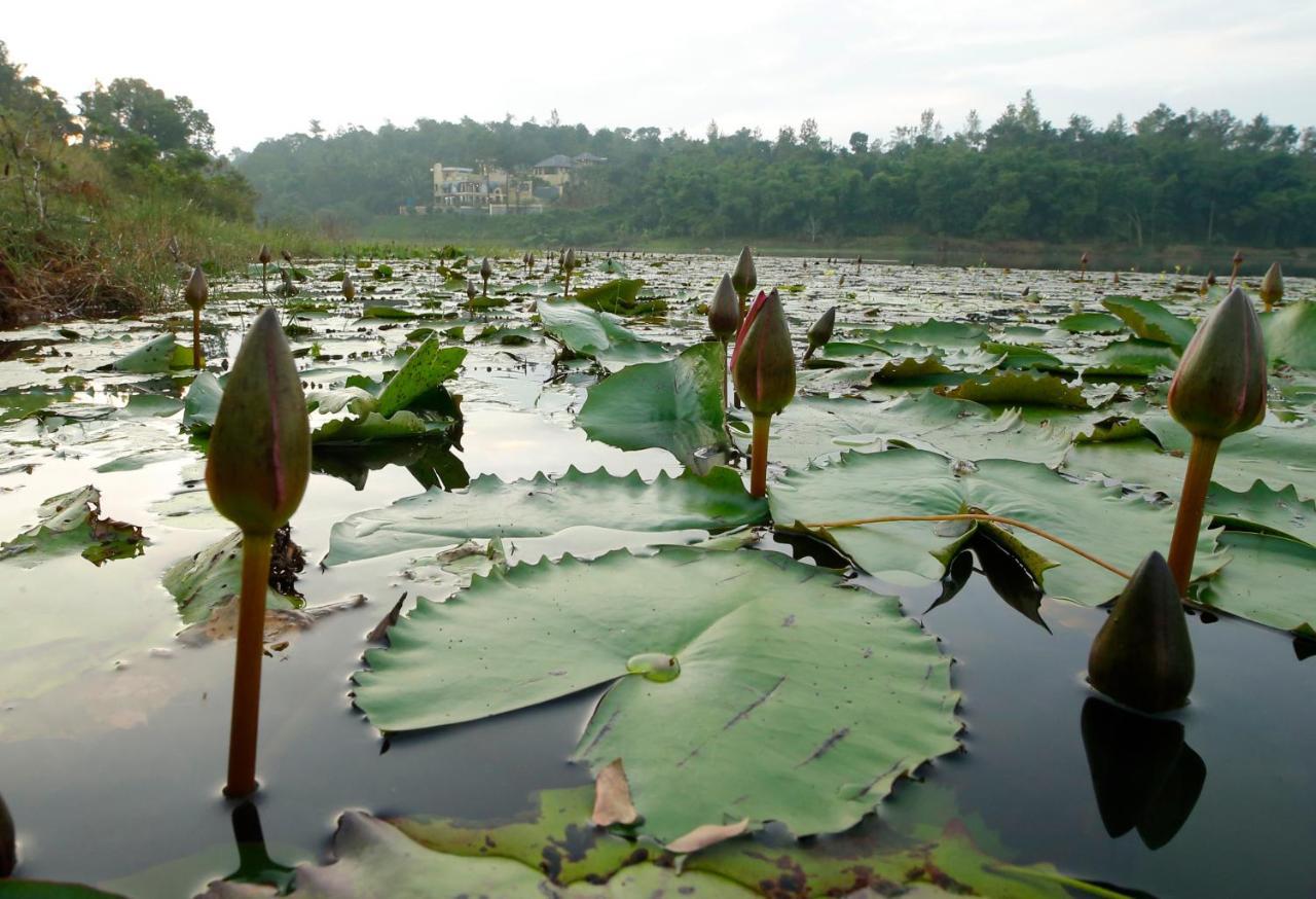 Vista Del Lago Hotel Ambalavayal ภายนอก รูปภาพ